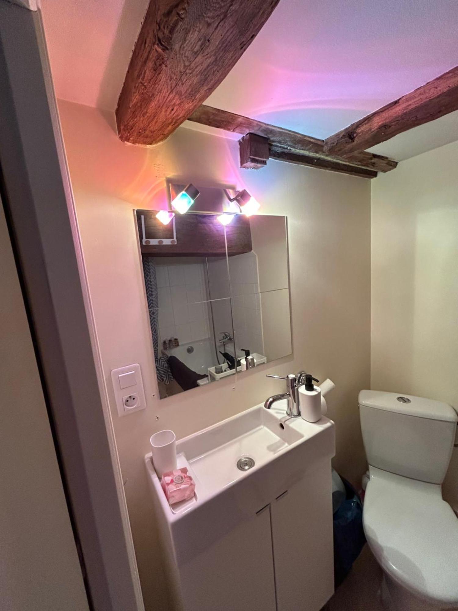 Cosy Jacobins Apartment Langres Bagian luar foto